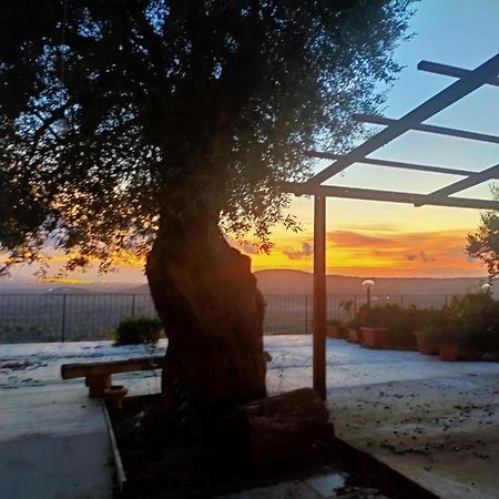 Отель Il Colle Degli Ulivi San Calogero Экстерьер фото