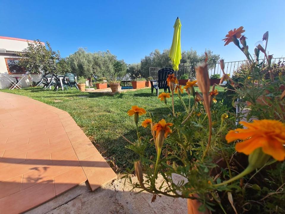 Отель Il Colle Degli Ulivi San Calogero Экстерьер фото